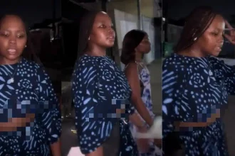 WhatsApp Image 2026 02 20 at 10.37.38 AM.jpeg