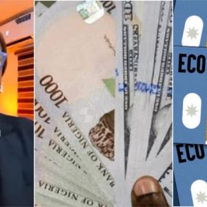 a72d4dec 2ddf 414e a8ff b782d86e0f46