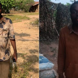 GridArt 20260301 111348677