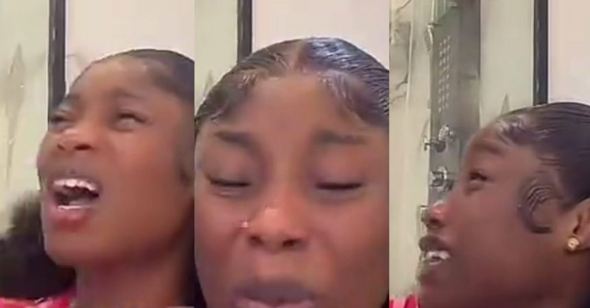 PhotoGrid Plus 1772299844500 1838x960 1