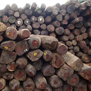 Screenshot 2026 02 21 at 8.14.04 AM