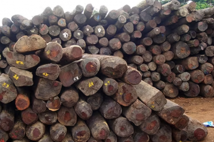 Screenshot 2026 02 21 at 8.14.04 AM