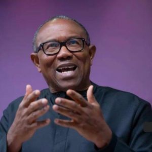 WhatsApp Image 2026 03 01 at 3.33.46 PM