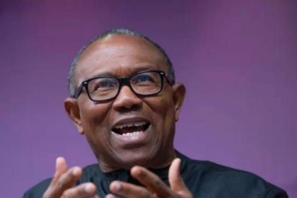 WhatsApp Image 2026 03 01 at 3.33.46 PM